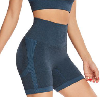 Short Set Workout 2 Piece